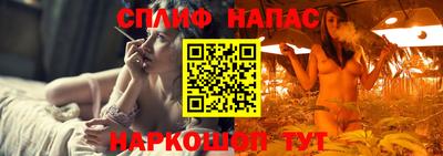 амф Гусев